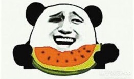 吃瓜群众也种豆,体验农耕乐趣