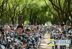 军训 吃瓜小说,揭秘军营里的甜蜜与苦涩