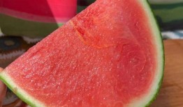 皇帝吃蜜瓜,揭秘皇家蜜瓜的传奇故事