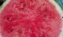 医院奇葩吃瓜,一场奇葩吃瓜大揭秘